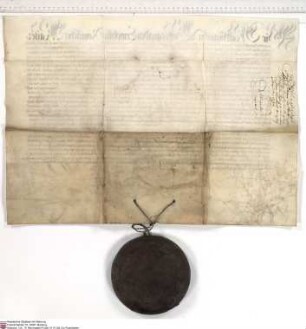 Kaiser Matthias von Habsburg bekundet, dass Johann Friedrich [von Schwalbach], Abt von Fulda, Erzkanzler der Kaiserin, um die Bestätigung der vom ...