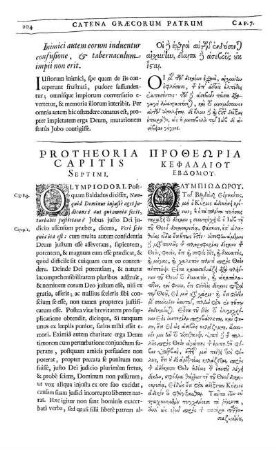 Protheoria Capitis Septimi.