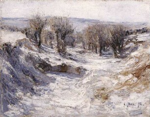 Winterlandschaft bei Weimar