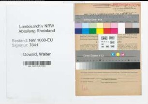 Entnazifizierung Walter Dowald, geb. 05.07.1908 (Arzt)