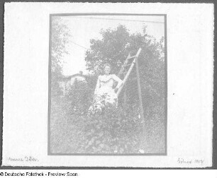 Frau in einem Garten an einer Leiter stehend