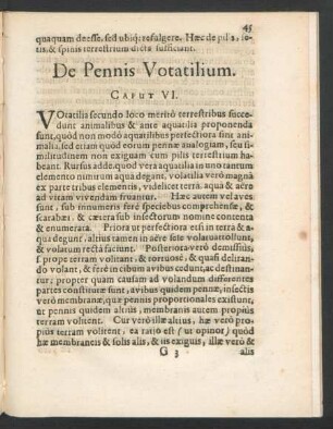 De Pennis Votatilium. Caput VI.