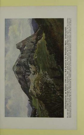 Höhenvegetation am Roßstein (1700 m) bei Bad Kreuth in den Bayrischen Alpen. Frühlingsbild