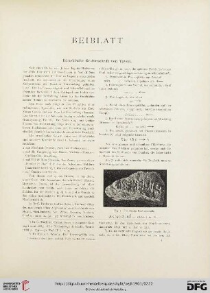 4.1901: Etruskische Grabinschrift von Tavon