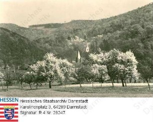 Jugenheim an der Bergstraße, Teilansicht mit Blick ins Stettbacher Tal