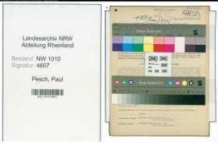 Entnazifizierung Paul Pesch , geb. 08.04.1905 (Prokurist)