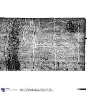 Einhorn (?) (Fragment)