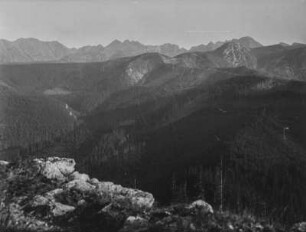 Bewaldetes Tal : Blick in ein bewaldetes Bergtal