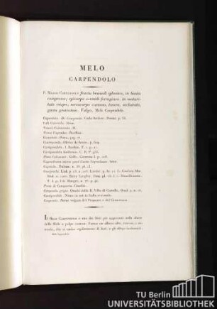Melo Carpendolo