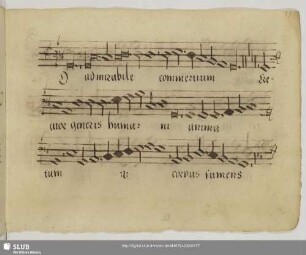 [Stoltzer, Thomas:] O admirabile commercium
