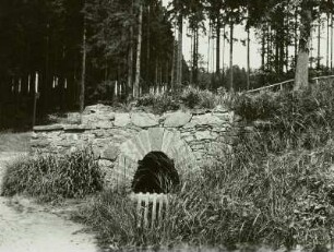 Osterzgebirge. Bobritzschtal. Grabentour, Mundloch (Austritt) der Reinsberger Rösche beim 4. Lichtloch des Rothschönberger Stollens