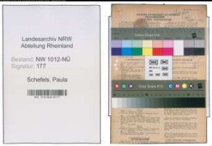 Entnazifizierung Paula Schefels , geb. 19.06.1897 (Angestellte)
