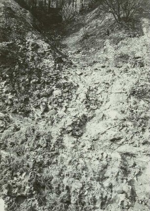 Wilisch, Basaltbruch