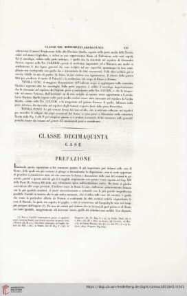 Classe decimaquinta: Case