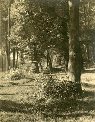 Reichswald, Hohenecker Str