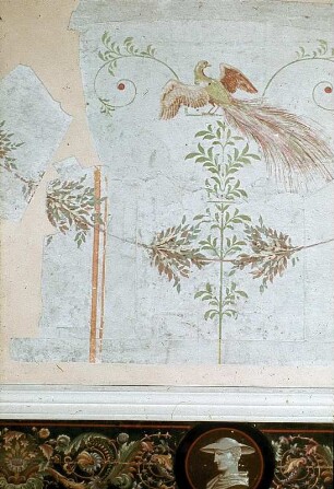 Tapete mit exotischen Vögeln und geflügelten weiblichen Figuren