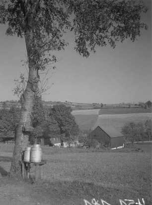 Fürstenau-Müglitz, Milchkannenpodest