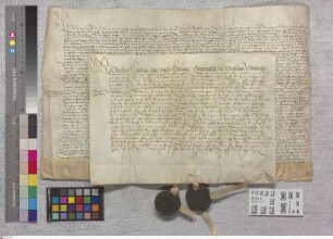 Gernsheim: Kloster Eberbachischer Leihbrief über Güter zu Gernsheim nebst einem anh.ängendem Transfix