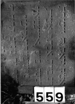 Grabstein 559 (Index: 99802785) Material: Sandstein Zustand: leicht verwittert Maße HxBxT: 76x55x9 cm Beschreibung: Stele mit Karniesbogen, profiliert. Rand, Giebelfeld: Grabstein 559 (Detailaufnahme)