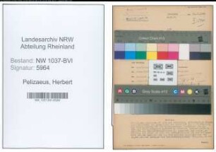 Entnazifizierung Herbert Pelizaeus , geb. 01.11.1906 (Spediteur)