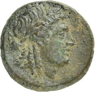 Smyrna