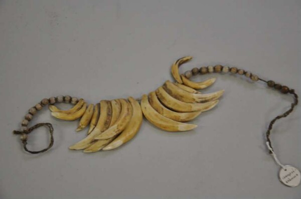 Necklace made from pig's teeth and grass seeds