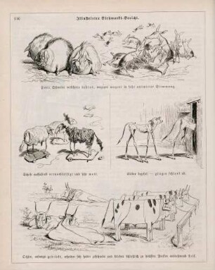"Illustrirter Viehmarkt-Bericht"