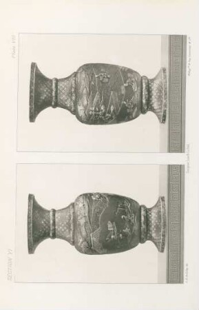 Plate VIII.