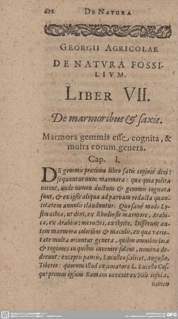 Liber VII. De marmoribus & saxis.