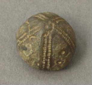Seeigel