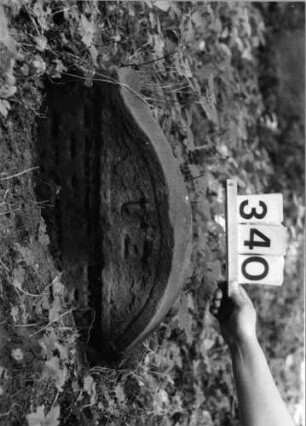 Grabstein 340 (Index: 99803530) Material: Sandstein Zustand: eingesunk(befestigt)/Textverlust Maße HxBxT: 34x61x9 cm Beschreibung: Stele mit Karniesbogen und profiliertem Rand: Grabstein 340