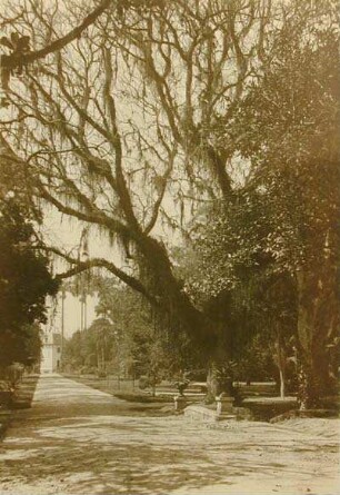 Jardim Botanico