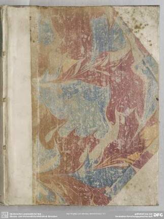 Spicilegium Observationum Exegeticarum In Sex Apax Legomena & Tres Anomalias Syntacticas Insigniores ex Novo Testamento