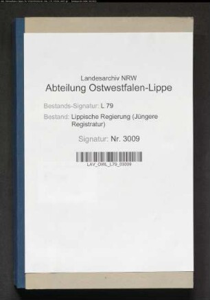 Beschwerden gegen den Direktor der Anstalt Lindenhaus