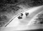 Saragossa/Zaragoza, Madrid [Spanien]: Zwischen Zaragoza und Madrid, aus dem Zug, Straße mit Eseln