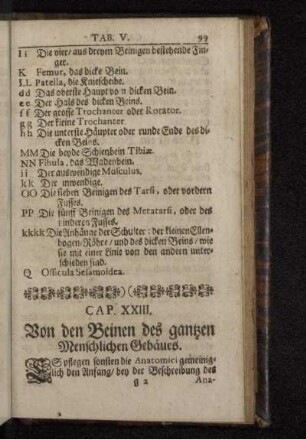 Cap. XXIII. Von den Beinen des gantzen Menschlichen Gebäues.