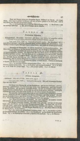 Tabula 55-58