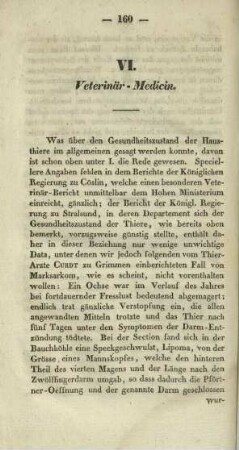 VI. Veterinär - Medicin.