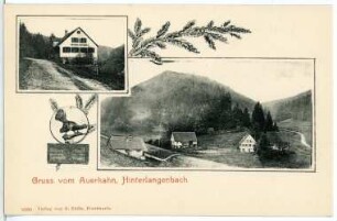 Hinterlangenbach. Auerhahn