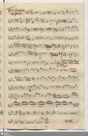 1157. Cavatina: Quello è il tetto quello è il nido / Cimarosa, D.