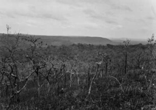 Schichtstufen : Blick auf eine Landschaft, die von mehreren Schichtstufen (veraltet: Landstufen) geprägt ist.