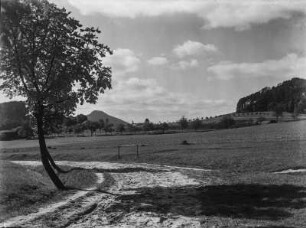 Hinteres Elbsandsteingebirge : Blick über eine Wiese auf das hintere Elbsandsteingebirge bei Jetrichovice (Dittersbach)
