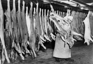 Schlachterei der Handelkette "Pro". Schweinehälften hängen zur Verarbeitung. Ein Schlachter trägt eine Hälfte auf der Schulter