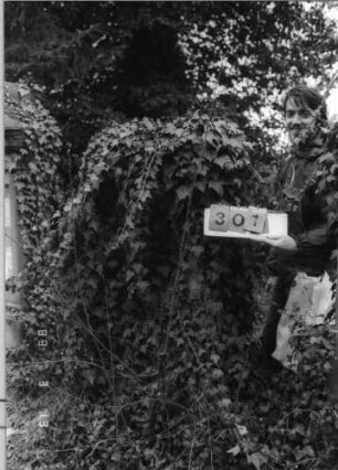 Grabstein 301 (Index: 100093281) Zustand: vollständig mit Efeu bewachsen Maße HxBxT: 167x60x34 cm: Grabstein 301