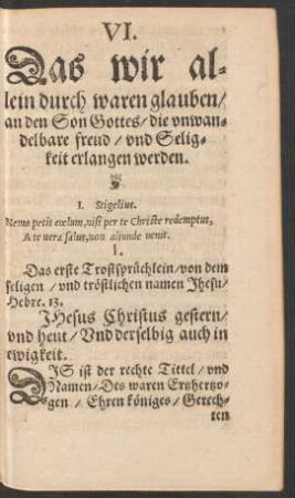 VI. Das wir allein durch waren glauben an den Son Gottes/ die unwandelbare freud/ und Seligkeit erlangen werden.