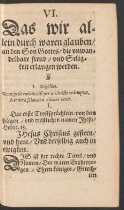 VI. Das wir allein durch waren glauben an den Son Gottes/ die unwandelbare freud/ und Seligkeit erlangen werden.