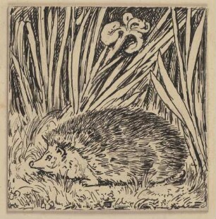 Zeichnung zur Fibel: Igel
