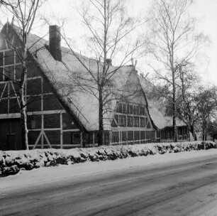 Bauernhof "Bökenhof" mit Fachwerk und Reetdach: davor Feldsteinmauer und Bäume: Winter