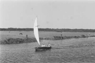 Segelboot : Ein kleines Segelboot auf dem Fluss Pregel.