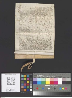Seligenstadt: Henne Glauhe zu Seligenstadt be ........ vom Kloster St. Jacobsberg und vom Karthäuserkloster zu Mainz Grundstücke im Seligenstädter...